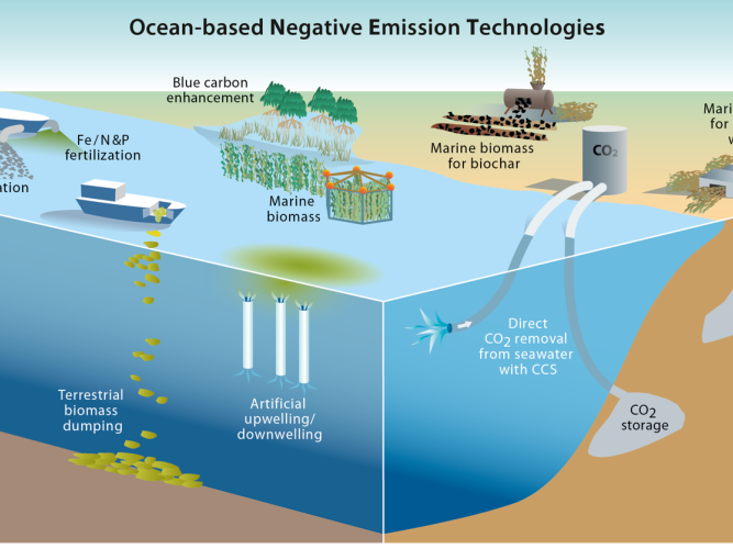 oceannets picture