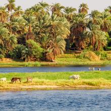 The river Nile